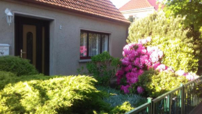 Ferienwohnung in Boddennähe, Dierhagen